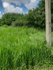 Земельный участок 540 м², Краснодарский край, СНТ Газовик, х. Большие Челбасы, с кадастровым номером 23:11:0311005:562, площадь 540, адрес: Российская Федерация, Краснодарский край, м.р-н Каневской, с.п. Стародеревянковское, х Большие Челбасы, тер. СНТ Газовик, з/у 151. Основной вид разрешенного…