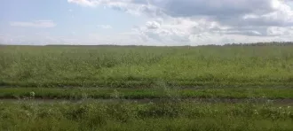 Право долгосрочной аренды земельного участка общей площадью 1 100 485 кв.м, кадастровый номер 02:47:000000:1823, адрес: Местоположение установлено относительно ориентира, расположенного в границах участка. Почтовый адрес ориентира: Республика Башкортостан, р-н. Уфимский, с/с. Николаевский, д…