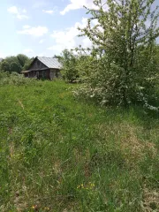 Земельный участок 1500 +/- 14 кв.м. Кирилловский р-н Вологодская область Земельный участок, площадь 1500 +/- 14 кв.м., назначение: Земли населенных пунктов, адрес (местонахождение): Вологодская область, р-н. Кирилловский, г. Кириллов, ул. Коновалова, кадастровый (условный) номер: 35:05:0506004:27…