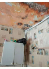 Доля квартиры 107.4 кв.м, Красноярск, 14/109 доли помещения с кадастровым номером: 24:50:0400205:3160, назначение: жилое помещение, адрес: Красноярский край, г. Красноярск, ул. Быковского, д. 5А, кв.14, площадь: 107.4 кв.м.