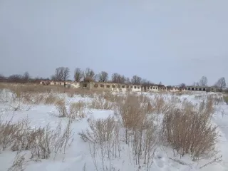 Объекты недвижимого имущества, расположенные на земельном участке площадью 27480 кв.м. с кадастровым номером 45:07:030502:228: здание свинарника, назначение: нежилое, кадастровый номер 45:07:030502:213, площадью 1353,8 кв.м., количество этаже 1  здание свинарника, назначение: нежилое, кадастровый…