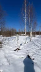 Дом 113,5 кв.м. и земельный участок 720 кв.м. Московская область, с кадастровым номером: 50:17:0030820:582, расположенный на земельном участке, площадью 720 кв.м., с кадастровым номером: 50:17:0030820:49. Адрес: Российская Федерация, Московская область, Павлово-Посадский район, д. Сумино, снт…