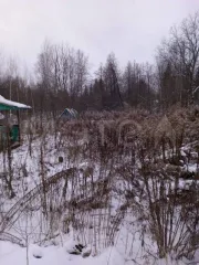 Земельный участок 929 кв.м, Башкортостан, Иглинский район, СНО "Лесная Поляна". 929+/-21 кв.м, адрес (местонахождение): Россия, Респ Башкортостан, р-н Иглинский, с Надеждинский, СНО "Лесная Поляна" ЖБЗ-1, УЧ 41, кадастровый (условный) номер: 02:26:190402:3230. Для ведения индивидуального…