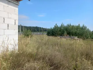 Земельный участок, площадью 800 кв.м., с кадастровым номером: 32:17:0110101:138, расположенный по адресу: Россия, муниципальный район Навлинский, городское поселение Навлинское, рабочий поселок Навля, улица 2-й микрорайон Дачный, д.10; Жилой дом, площадью 63,9 кв.м., с кадастровым номером…