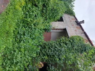 Нежилое здание детского сада площадью 311.9 кв.м, 1977 года ввода в эксплуатацию, расположенное по адресу: Пензенская область, Кузнецкий район, село Анненково, улица Рабочая, 26. Кадастровый номер здания: 58:14:0190201:676. Здание одноэтажное. Расположено на земельном участке площадью 2535 кв.м с…