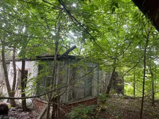 Нежилое помещение площадью 36,9 кв.м. с кадастровым номером 32:30:0010104:188 и земельный участок под ним площадью 268 кв.м. из категории земель населенных пунктов с видом разрешенного использования – для индивидуального жилищного строительства, с кадастровым номером 32:30:0010104:444…