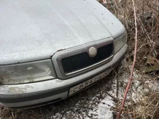 Автомобиль Лифан 215800, 2014 г.в., г/н О572НЕ33, VIN X9W215800E0029949; автомобиль Renault Logan, 2011 г.в., г/н Е906КТ152, VIN X7LLSRBYHBH421816; автомобиль Дэу Нексия, 2008 г.в., г/н А281СЕ150, VIN XWB3K31CD8A000223; автомобиль Skoda Octavia Tour, 2008 г.в., г/н С654ТА33, VIN XW8DX41U98K012741…