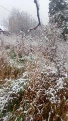 Доля земли 1215 кв.м., Томская обл., с. Молчаново, ул. Южная 1/2 Доли земли населенных пункотов (Земельный участок), кадастровый номер 70:10:0101005:291, площадь: 1215 кв.м., по адресу: 636331, Томская обл, с Молчаново, ул Южная, д. 17. Вид права: Общая долевая собственность; Дата права 15.03.2017…