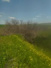 Гидротехническое сооружение, площадь 20632,3 кв.м, Ставропольский край. Назначение — гидротехническое сооружение, кадастровый номер 26:08:070102:131, основная характеристика — площадь 20632,3 кв.м. Адрес: Российская Федерация, Ставропольский край, Петровский муниципальный округ, квартал…