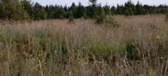 Земельный участок площадью 803 кв.м. Кадастровый номер: 18:08:049001:442. Назначение: земли населенных пунктов. Адрес: Россия, Удмуртская Республика, Завьяловский район, село Бабино, микрорайон "Восточная Слобода", улица Казанская, участок 18. Продается 4/5 доли.