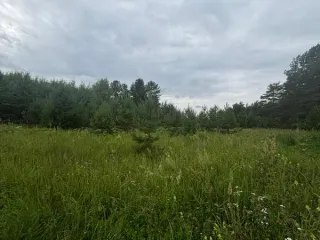Земельный участок 1568 м², КН 50:29:0040704:352, Московская область. Площадь 1568, кадастровый номер 50:29:0040704:352, основной вид разрешенного использования 2.1.