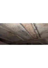 Hyundai Sonata 2009 года, 137 л.с. Автомобиль легковой, марка Hyundai, модель Sonata, VIN: X7MEN41HPAA049915, гос. номер: Р092СТ58, год изготовления: 2009.