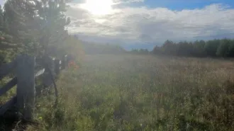 Земельный участок 1500 кв.м для индивидуального жилищного строительства. Иркутская область, Иркутский район, сельское поселение Ширяевское, деревня Ширяева, улица Надежды, земельный участок 39. Кадастровый номер: 38:06:111302:6076.