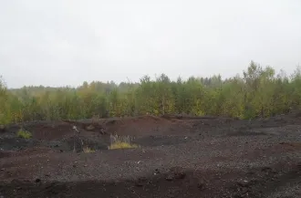 Лигнин в количестве 26000 тонн, находящийся на земельном участке площадью 11520 кв. м с кадастровым номером 44:28:040201:321