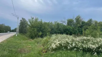 Нежилое здание 353,4 кв.м и земельный участок 1769 кв.м, Воронежская область. Здание 353,4 кв.м, кадастровый номер: 36:11:0900006:219 и земельный участок, площадь: 1 769 кв.м, категория земель: Земли населенных пунктов, разрешенное использование: размещение производственных объектов, кадастровый…