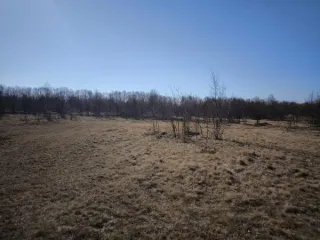 Аренда земельного участка 1700 кв.м., с. Рыбацкое, Анивский район. Право на заключение договора аренды земельного участка (годовой размер арендной платы), с кадастровым номером 65:05:0000074:330, площадью 1700 кв.м., местоположение: Сахалинская область, Анивский район, с. Рыбацкое, границы…