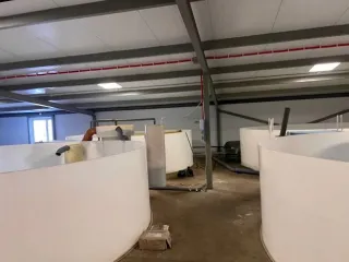 Строительство фермы по выращиванию форели по адресу д. Мещеряково Промпарк «Буинск» Буинского муниципального района, кадастровый номер 16:14:140102:762, общая площадь 1 432,0 кв.м. (в залоге АО «Татагролизинг»); Административное здание, кадастровый номер 16:14:140102:763, общая площадь 57,4 кв.м…