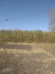 Земельный участок, общей площадью 2000 кв.м., категория земель: земли населенных пунктов, виды разрешенного использования: для ведения личного подсобного хозяйства, кадастровый номер 46:21:070301:27
По адресу Россия, Курская область, р-н Советский, с/с Краснодолинский, пос. Соколовка, дом 37/2
В…