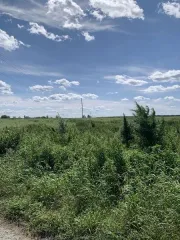 Земельный участок 45:21:040301:395, 328000 м², Курганская обл., р-н Шатровский, с Камышевка, основной вид разрешенного использования: 1.7, кадастровый номер: 45:21:040301:395, площадь: 47813.