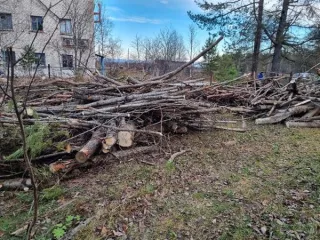 Древесина сосна, береза, осина, ива 11.8 куб.м. Древесина породы сосна в виде распиленных на части в длину 1-3 м стволов деревьев - 16 шт., объемом 1 куб.м.; древесина породы береза в виде распиленных на части длину 1-3 м стволов деревьев - 20 шт., объемом 2,2 куб.м; древесина породы осина в виде…
