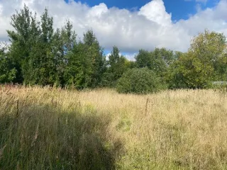 Земельный участок 492 кв.м КН 50:13:0010331:1677 Московская область Площадь земельного участка: 492 Кадастровый номер земельного участка: 50:13:0010331:1677 Основной вид разрешенного использования: 2.2