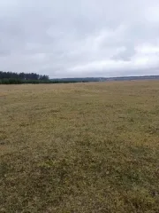 Земельный участок 2146 кв.м, ИЖС, село Эдемское, Владимирская область, с кадастровым номером 33:06:062601:220 из земель населенных пунктов, площадью 2146 кв. м., расположенный по адресу: Владимирская область, муниципальный округ Камешковский, село Эдемское, улица Хвойная, земельный участок 9…