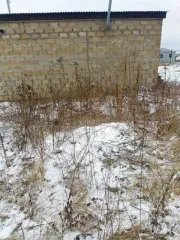 Нежилое здание 24 кв.м Тульская область. Кадастровый номер 71:05:060409:1107, общая площадь 24 кв.м. Адрес: Тульская область, Веневский район, пос. Метростроевский, ул. Зеленая, 86 м на юго-запад от д. 1а. Расположено на земельном участке с кадастровым номером 71:05:060409:178, вид разрешенного…