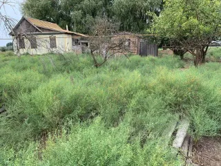 Земельный участок 300 кв.м. Астраханская область, кадастровый номер 30:02:020401:89, ВРИ – для ведения личного подсобного хозяйства, расположен по адресу: Астраханская область, Володарский район, с. Кошеванка, ул. Береговая, 40.