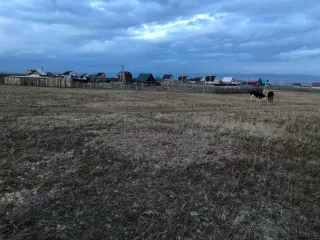 Земельный участок в Чите, 750 кв.м., назначение: Земли населенных пунктов, кадастровый (условный) номер: 75:32:040332:262, адрес: Забайкальский край, г. Чита, ул. Клюквенная, уч. 35. Находится в совместной собственности.