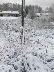 Земельный участок площадью 1500 кв.м с кадастровым номером 54:19:110501:209, расположенный по адресу: Новосибирская область, Новосибирский район, МО Станционный сельсовет, поселок Ленинский, улица Центральная, дом 45. Объект находится в залоге у ПАО Сбербанк.