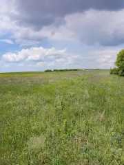 Право аренды земли 3018900 кв.м, кадастровый 34:32:080004:122 право заключения договора аренды земельного участка в соответствии с описанием лота в извещении. Основной вид разрешенного использования: 1.2. Кадастровый номер земельного участка: 34:32:080004:122. Площадь земельного участка: 3018900…