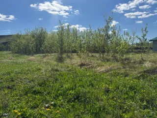 Доля в земельном участке 1071 кв.м, РТ 16. 1/2 доля в общей долевой собственности на земельный участок, кадастровый номер 16:39:100303:102, по адресу: РТ, Тукаевский район, д. Малая Шильна, ул. Ивана Мозгутеева, 3. Основной вид разрешенного использования: 2.0.