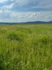 Земельный участок для ведения личного подсобного хозяйства. Кадастровый номер: 02:18:150201:31. Местоположение установлено относительно ориентира, расположенного в границах участка. Почтовый адрес ориентира: Республика Башкортостан, р-н. Бурзянский, с/с. Кулганинский, д. Саргая, ул. Башарт, д. 3…