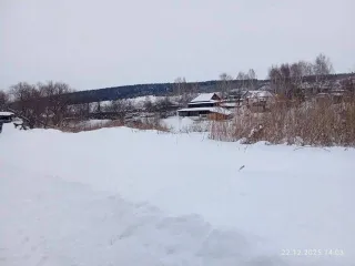 Земельный участок 294 кв.м, Алтайский край, Целинный район, с. Целинное, ул. Новая, 24. 1/2 доля земельного участка в Алтайском крае, еще 1/2 доля земельного участка в Алтайском крае, 1/2 доля в праве на земельный участок, площадь: 294 кв.м., адрес (местонахождение): Российская Федерация, Алтайский…