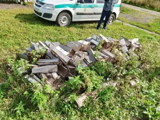 Древесина: бревна и сортименты сосна ель береза. Бревно, диаметр 67 см, дерево породы сосна. Бревно, диаметр 65 см, дерево породы сосна. Бревно, диаметр 60 см, дерево породы сосна. Дерево породы сосна, диаметром 19 см. Дерево породы ель, диаметром 11,5 см. Бревна различной породы. Сортименты…