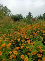 Земельный участок 408 кв.м, Самарская область: Земельный участок, площадь 408 +/- 7.07 кв.м., адрес (местонахождение): Россия, Самарская область, г.Тольятти, Центральный район, северо-запад Химзавода, 2,5 км, СНТ «Любитель», проезд № 4, участок № 248., кадастровый (условный) номер…