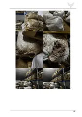 Годные остатки водных биологических ресурсов — яйца (циста) рачка артемии, упакованные в полипропиленовые мешки (согласно п. 3 Извещение) Детальное описание лота - указано в пункте 3 Извещения. Дополнительная информация: Имущество продается в том виде, комплектности и состоянии, в каком оно есть…