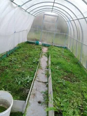 Земельный участок для ведения личного подсобного хозяйства, площадь: 318 кв. м., кадастровый номер: 35:22:0302005:663, находящийся по адресу: Вологодская область, р-н Череповецкий, с/о. Ирдоматский с/с, д. Ирдоматка