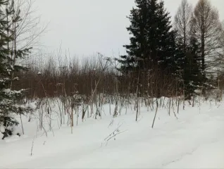 Земельный участок 1715+/-14 кв.м, Пермский край, Оханск, ул. Радужная. Назначение: 1 этажный индивидуальный жилой дом с приусадебным участком, адрес (местонахождение): Российская Федерация, Пермский край, город Оханск, муниципальный округ Оханский, улица Радужная, з/у 11, кадастровый (условный)…