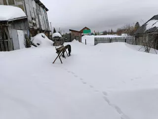 Доля 1/2 на жилой дом с площадью 40,7 м2 с кадастровый номером 02:41:010201:492. Адрес по документам: Республика Башкортостан, р-н Нуримановский, c/c Байгильдинский, д. Большетенькашево, ул. Мира, земельный участок 68. Жилой дом расположен на 
Земельного участке с кадастровый номером…