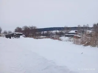 Земельный участок 294 кв.м, Алтайский край, Целинный район, с. Целинное, ул. Новая, 24. 1/2 доля земельного участка в Алтайском крае, еще 1/2 доля земельного участка в Алтайском крае, 1/2 доля в праве на земельный участок, площадь: 294 кв.м., адрес (местонахождение): Российская Федерация, Алтайский…