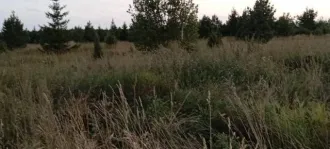 Земельный участок площадью 803 кв.м. Кадастровый номер: 18:08:049001:442. Назначение: земли населенных пунктов. Адрес: Россия, Удмуртская Республика, Завьяловский район, село Бабино, микрорайон "Восточная Слобода", улица Казанская, участок 18. Продается 4/5 доли.