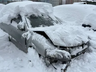 Nissan Almera 2008, идентификационный номер (VIN): KNMCSHLAS8P706855, год выпуска: 2008.