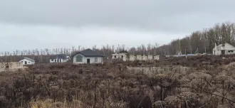 Земельный участок 800 кв.м., Тула, д. Янчерево Земельный участок площадью 800 кв.м., с кадастровым номером 71:14:040601:3393 <p>Земельный участок площадью 800 кв.м., с кадастровым номером 71:14:040601:3393, расположенный по адресу: Тульская область, городской округ город Тула, деревня Янчерево</p>