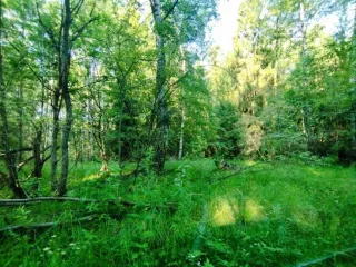 Земельный участок, 495300 кв.м, Нижегородская область, Сокольский район Имущество АО «КАПИТАЛ АСИСТАНС»: земельный участок, кадастровый номер 52:07:0800006:1592, 495300 кв.м. Земельный участок для индивидуального жилищного строительства, земли населенных пунктов, кадастровый номер…