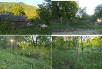 Земельный участок для ведения личного подсобного хозяйства, площадью 3001+/-38 кв.м., кадастровый номер 20:09:3400065:562.