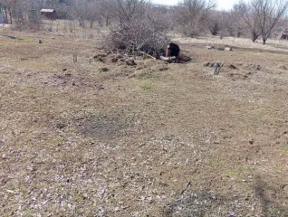 Земельные участки 600+/-17 кв.м, Ростовская область, р-н Азовский, х. Кочеванчик, СТ "Sputnik", участок 129, кадастровый номер: 61:01:0503601:690, вид собственности: индивидуальная.