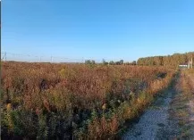Лот № 24. Земельный участок площадью 1 008 +/  22 кв.м. кад. № 50:33:0020418:883, расположенный по адресу: Московская область, Ступинский район, Аксиньинское сельское поселение, вблизи д. Ламоново, участок находится в юго западной части кадастрового квартала 50:33:0020418
