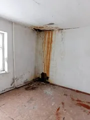 Нежилое помещение площадью 194.6 кв. м, кадастровый номер 22:15:050501:3389 по адресу: Алтайский край, р-н. Зональный, с. Зональное, ул. Ленина, д. 29, пом. 9. Кадастровый номер объекта недвижимости (здания, сооружения), в пределах которого расположено помещение: 22:15:050501:1831 Кадастровая…