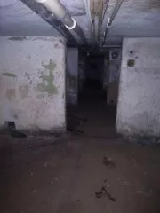 Нежилые помещения площадью 225,3 кв. м (кадастровый номер 59:01:4311011:754), подвал №-, расположенные по адресу: Пермский край, г. Пермь, Мотовилихинский район, ул. Степана Разина, д. 34/3. Помещения пустуют. Нежилые помещения площадью 225,3 кв. м (кадастровый номер 59:01:4311011:754), подвал №-…
